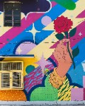 Street Graffiti with Hand Holding a Rose - jigsaw puzzle