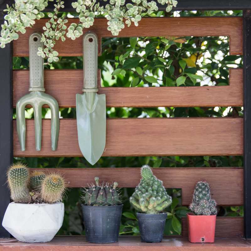 Stylish Cactus and Succulent Display with Hanging Garden Tools