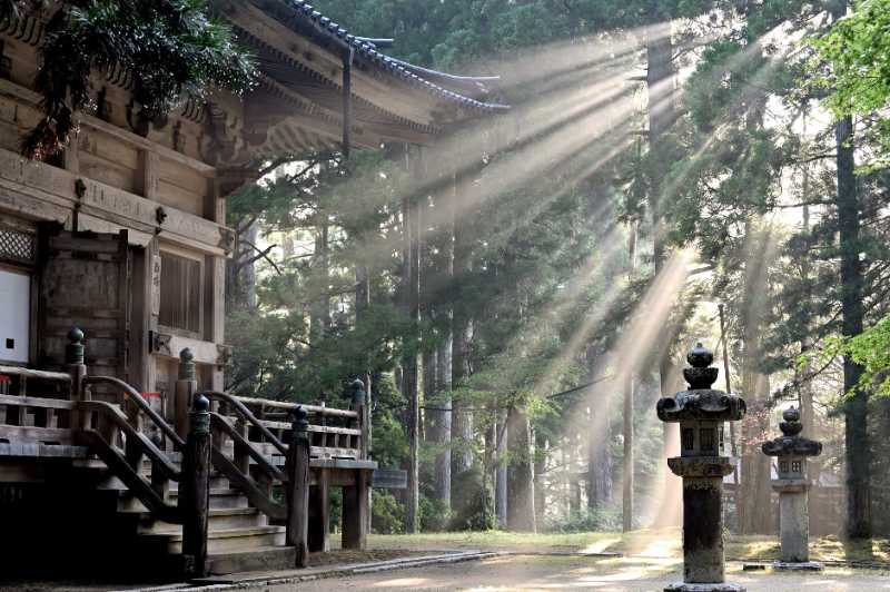 sun rays forest koyasan temple fog - jigsaw puzzle