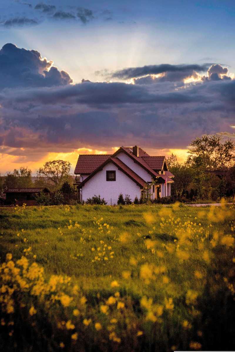 sunset house field meadow flowers - jigsaw puzzle