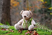 teddy bear bear plush toy - jigsaw puzzle