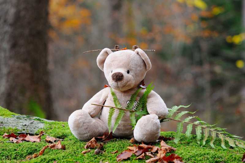 teddy bear bear plush toy - jigsaw puzzle