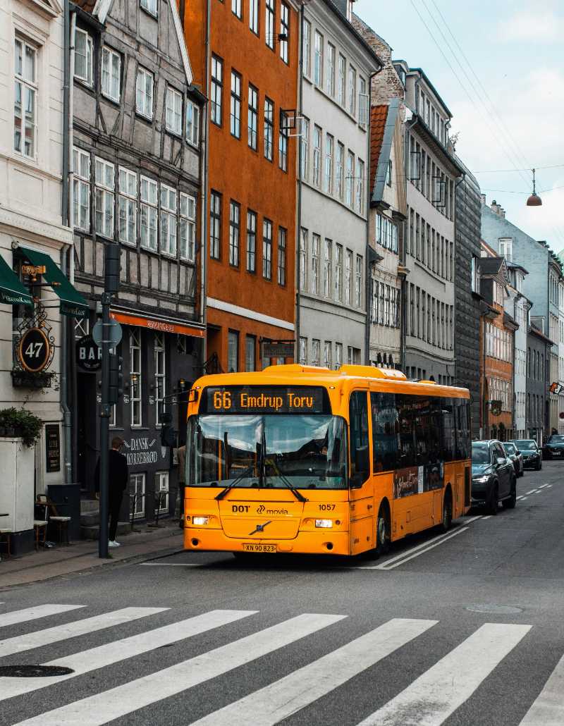 yellow and black bus on road at daytime - jigsaw puzzle