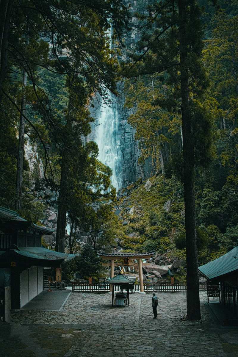 a man standing in front of a waterfall surrounded by trees - jigsaw puzzle