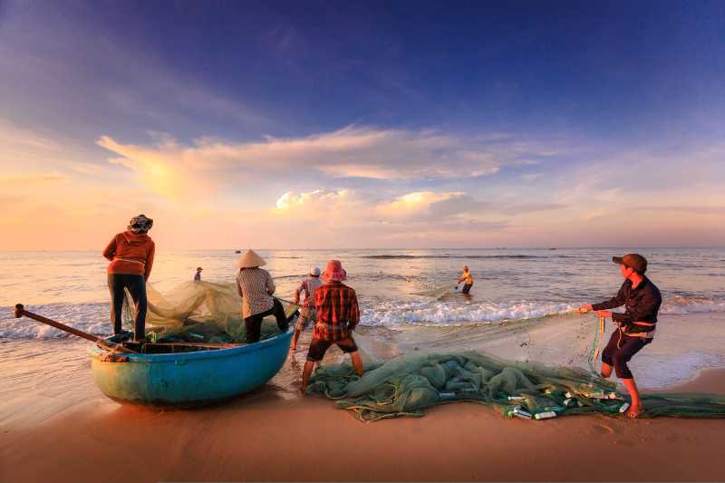 Traditional Fishing Culture Vietnamese Fishermen Pulling Nets at Sunrise