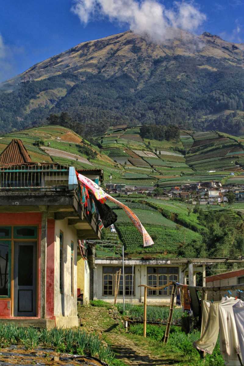 A picturesque landscape of terraced fields and Mount Sumbing in Magelang, Central Java, Indonesia