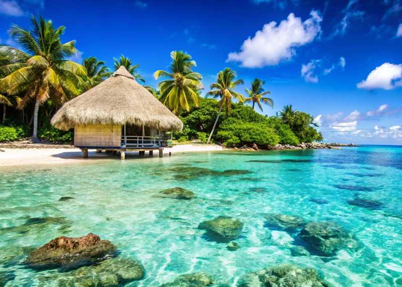 Tropical beach with a thatched hut clear blue water and palm trees