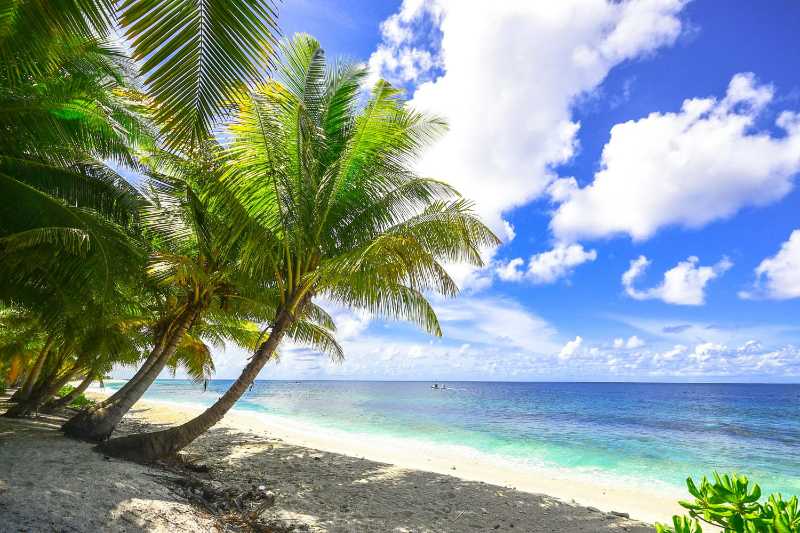 Tropischer Strand mit Palmen und blauem Himmel