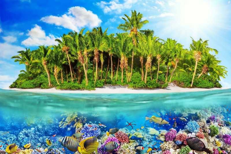 Ilha tropical dentro de um atol no oceano tropical e um mundo subaquático maravilhoso e lindo com corais e peixes tropicais