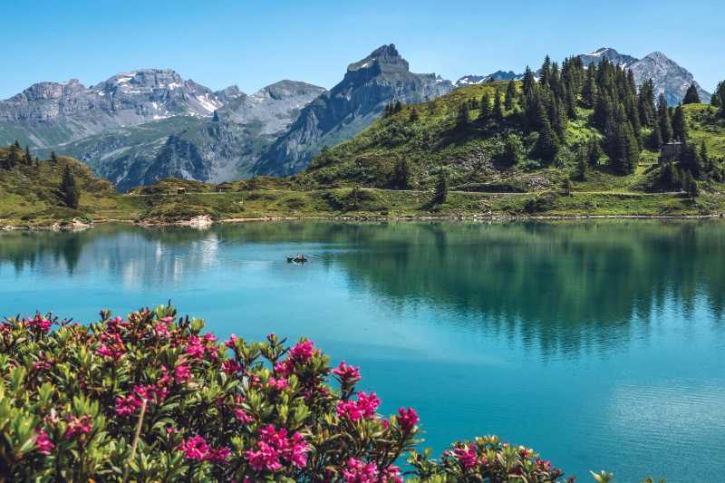 Turquoise Mountain Lake Surrounded by Pink Rhododendron Flowers
