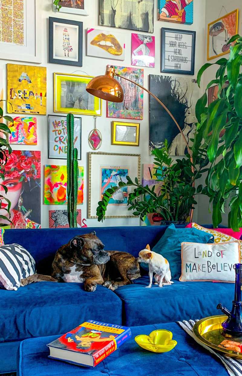 two dogs sitting on a blue couch in a living room - jigsaw puzzle