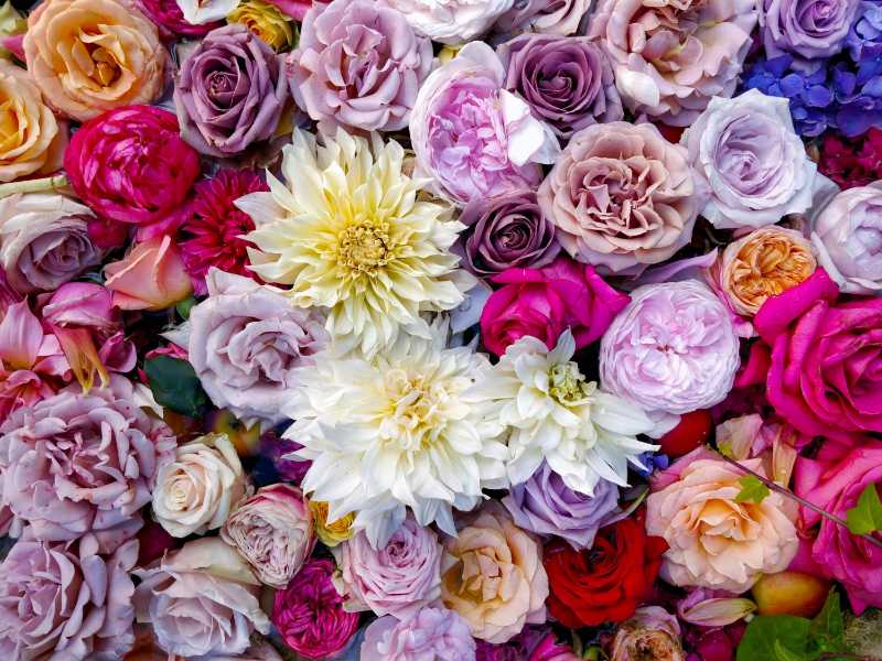 variety of flowers bouquet - jigsaw puzzle