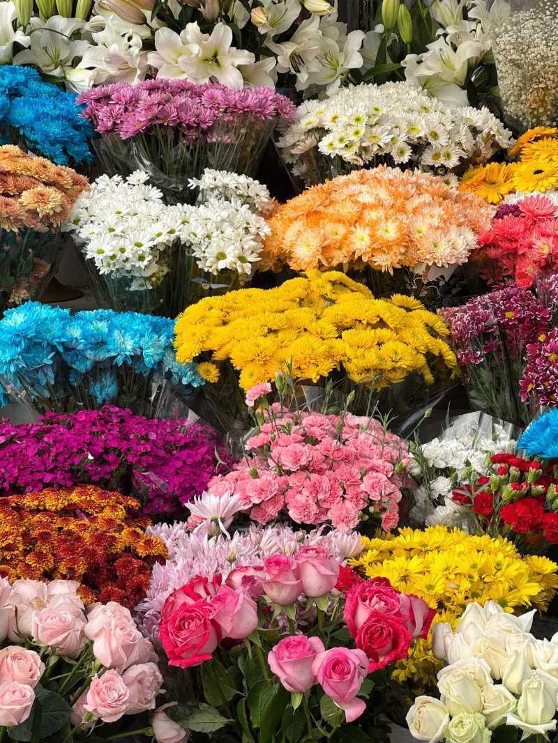 vibrant display of colorful flowers in full bloom