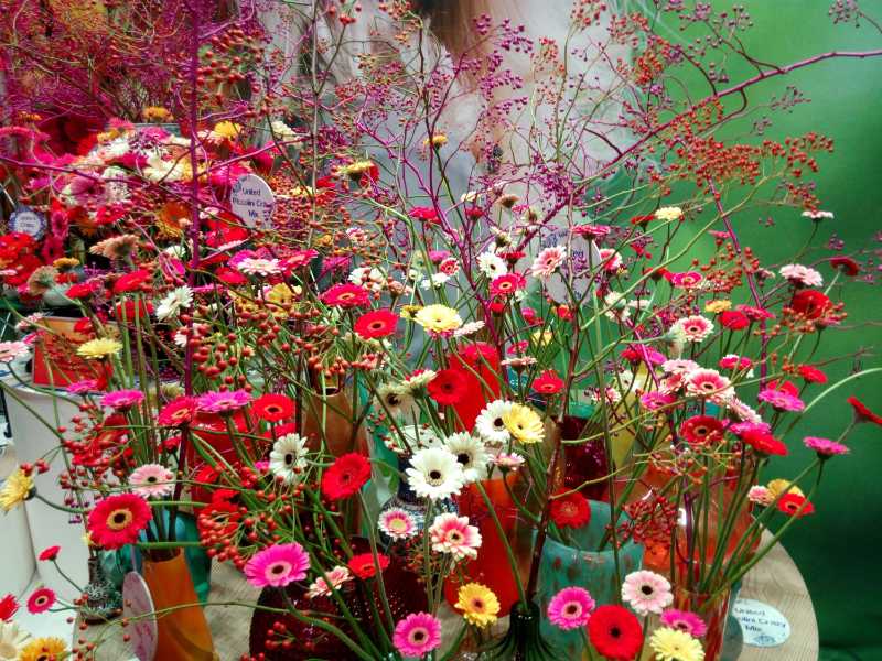 Vibrant Gerbera Daisies Display Red Pink and Yellow Floral Arrangement Ideas
