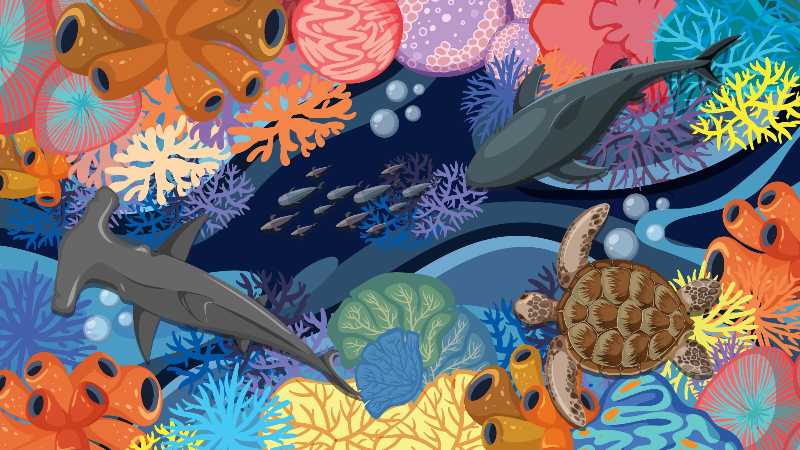 Vibrant marine world