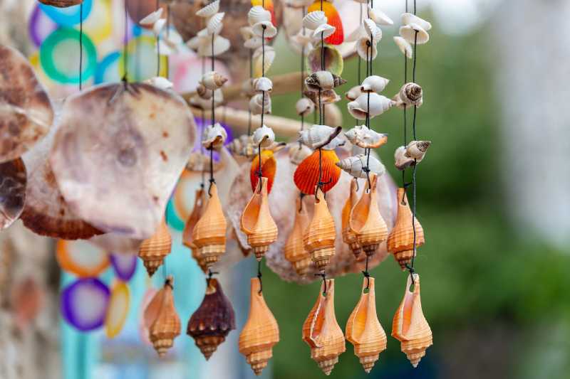 Vibrant seashell wind chimes hanging outdoors