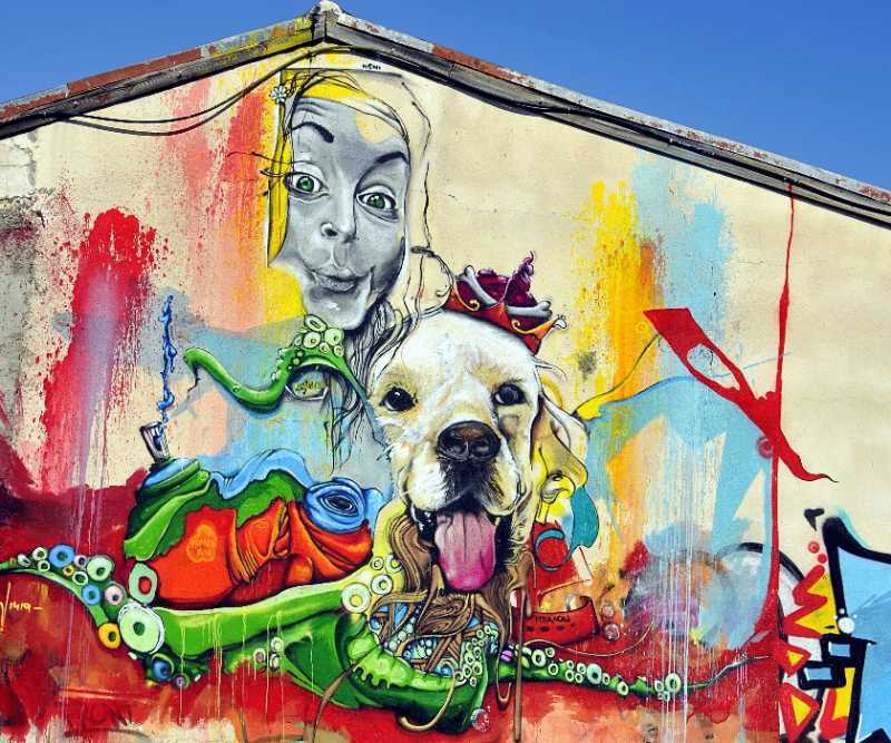 Vibrant Street Art Mural Crowned Dog Portrait and Graffiti Splash