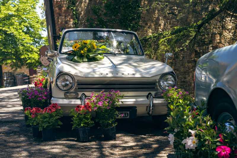Oldtimer mit Pflanzen bedeckt