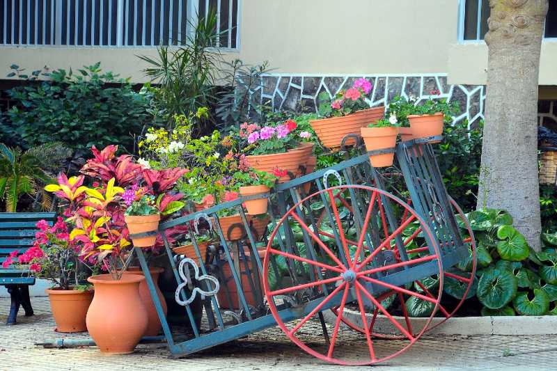 Carroça e vasos com plantas em um jardim
