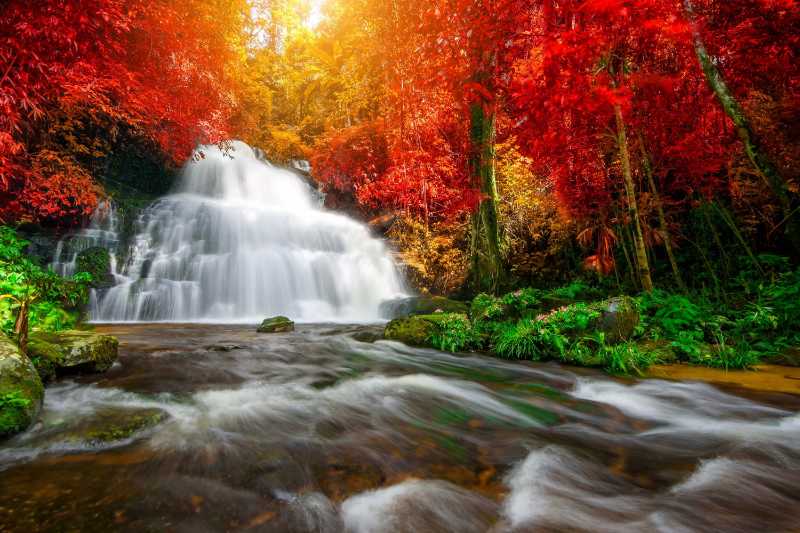 Waterfall in forest