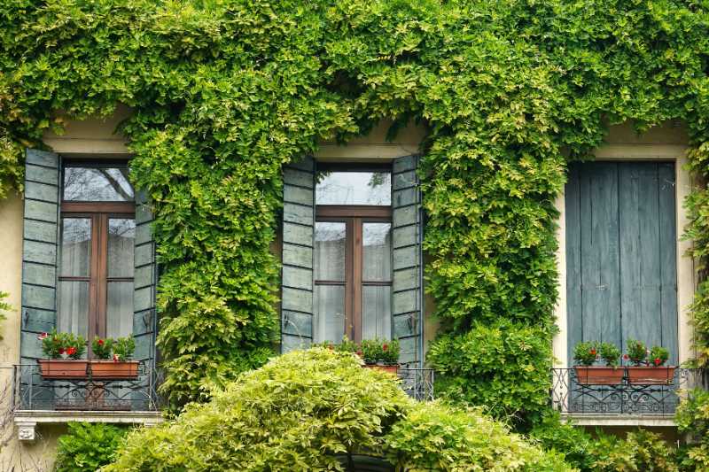 window ivy shutter balcony house - jigsaw puzzle