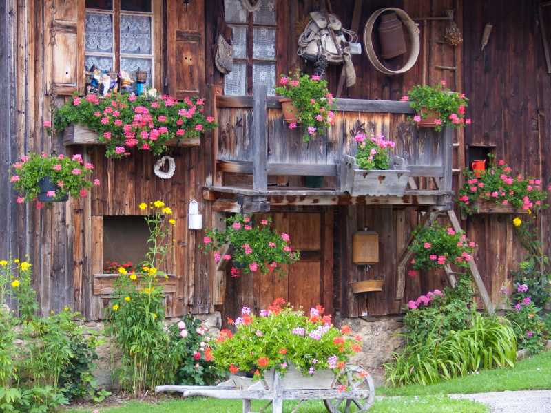 Wooden house with many potted plants and flowers