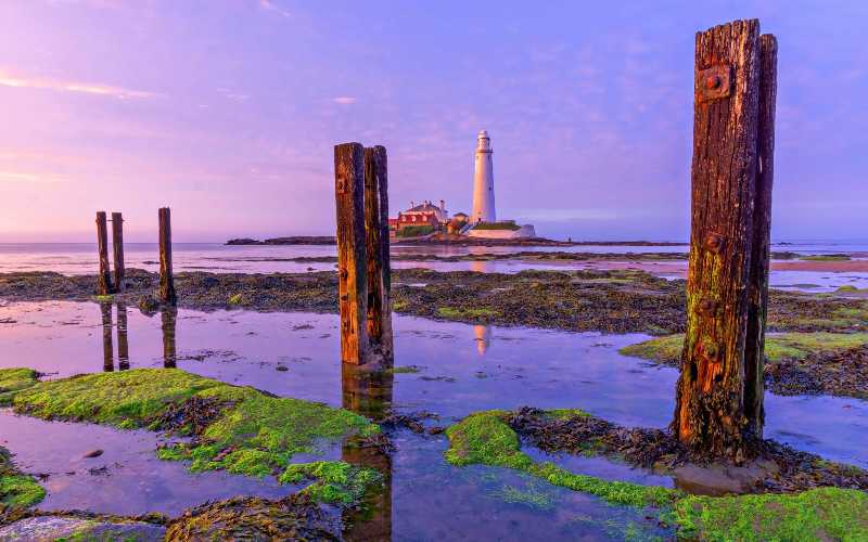 Wooden Poles and St Marys Lighthouse in England behind at Dusk