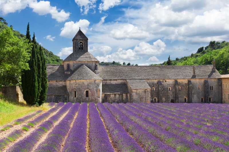 World famous abbey senanque and blooming lavender field