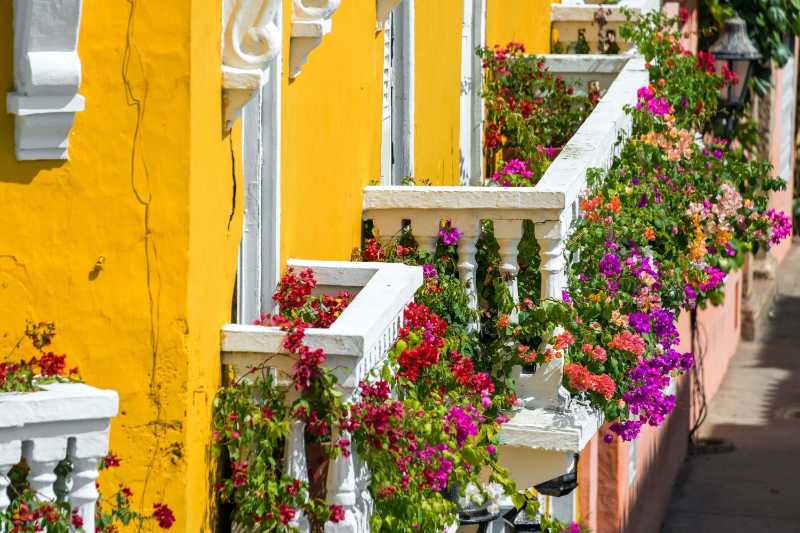 Yellow and white balconies covered in vibrant flowers